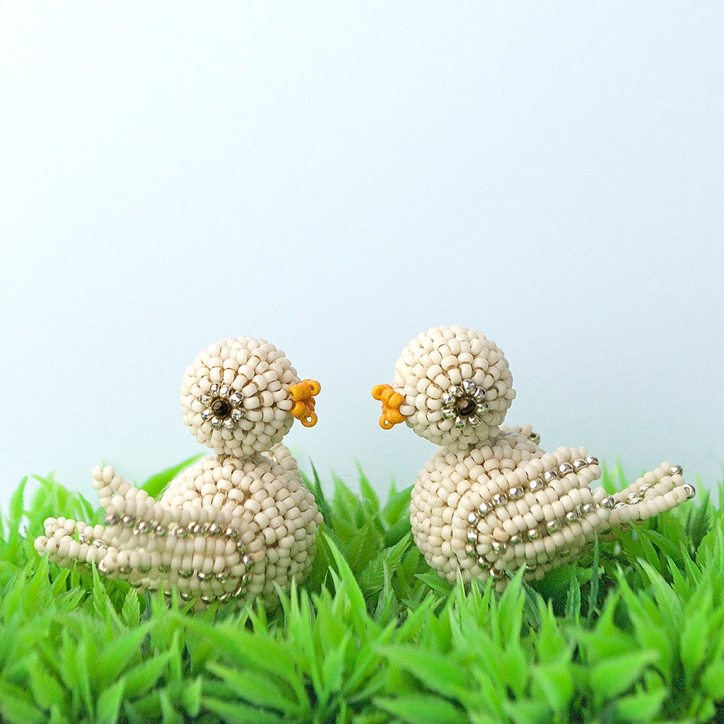Cute Bird