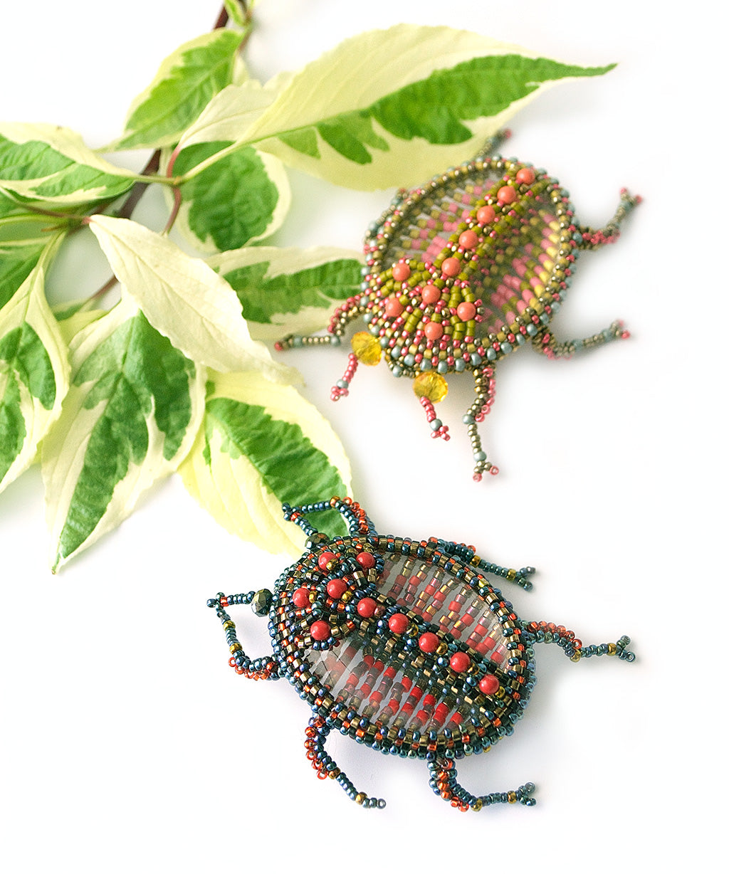 Glass Beetle Pattern