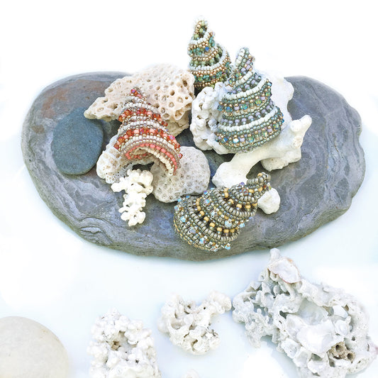 Shell Seeker