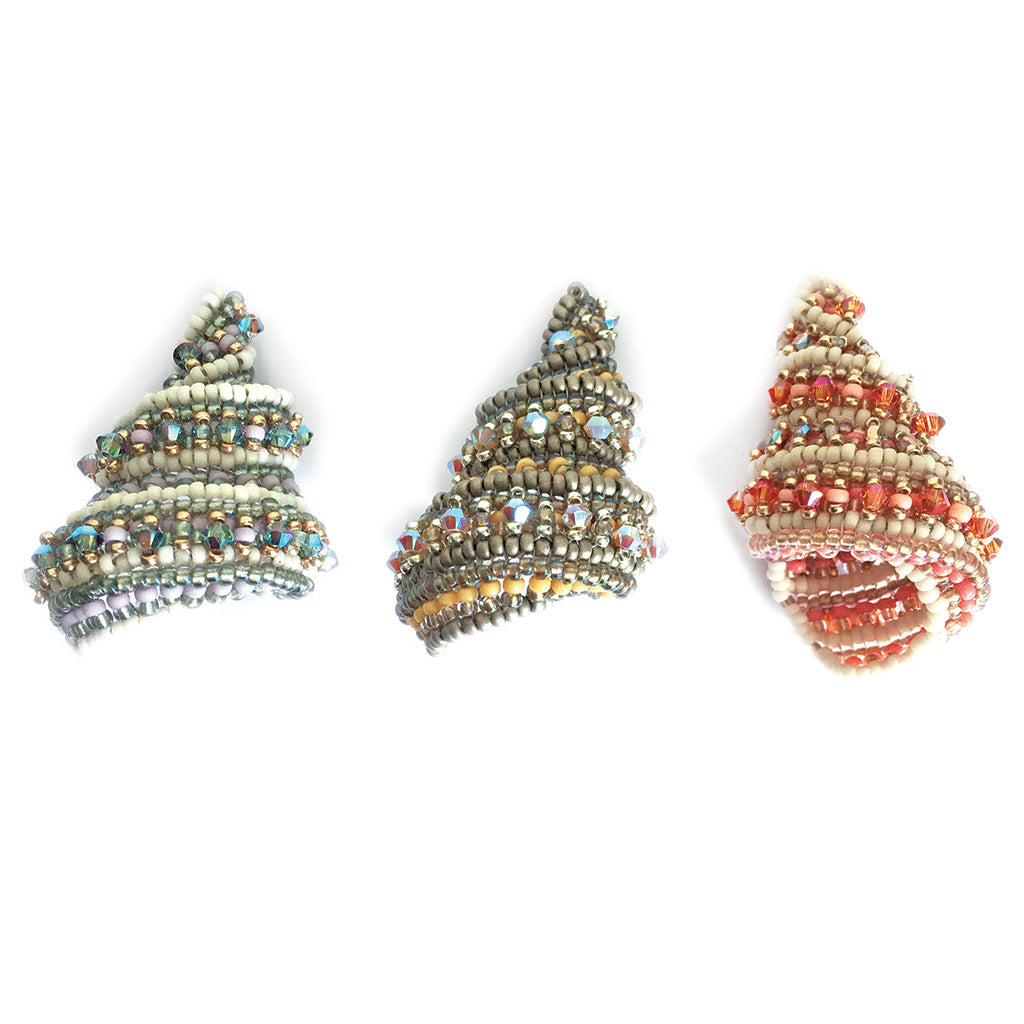 Shell Seeker